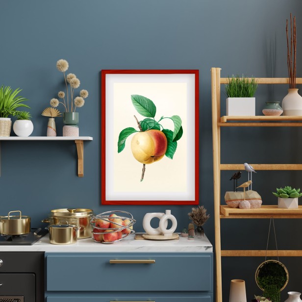 6a88cfcff07a61c848df5512ddc09d51