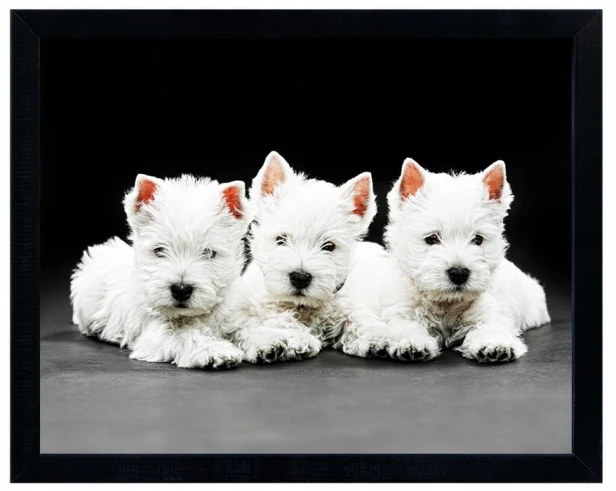 43672