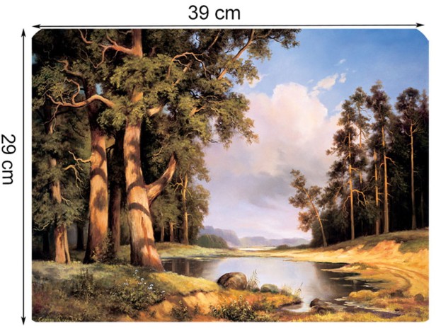 54557