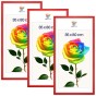 2e898e92ff0de28a05bb5a573f454fd8.jpg