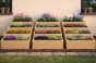 0432cad1c9a00aba6f19aa7c040575e3.png