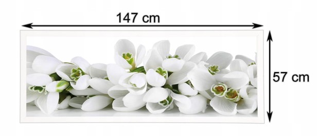 42286
