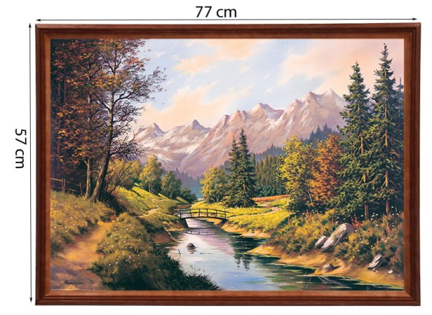 50651