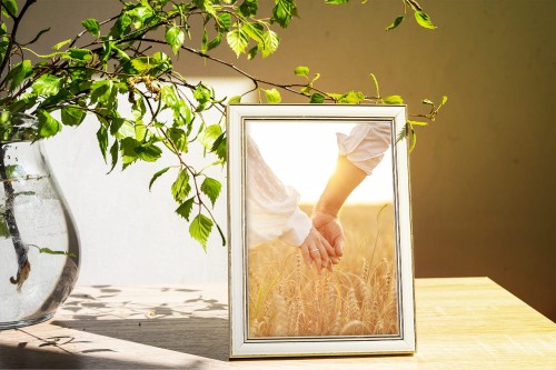 1113cc7db8a9a68cacd28bb1488feb4e