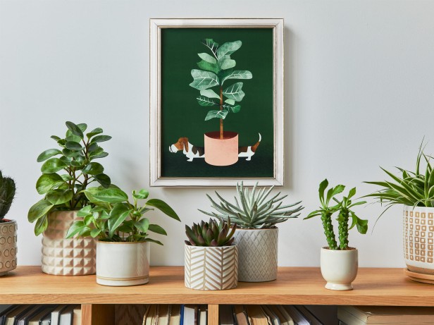 0da9966d7ff446ece8a3745da3fe806b