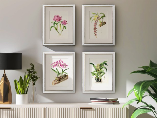 115894b6e11d6d2ba4eb6878c9ce5e47