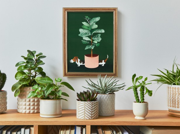 ab1610833bf0e5f78f5fde192d40f6cb