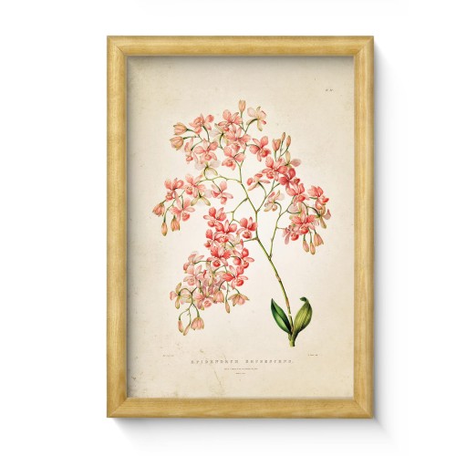 c74d6aa4257a6a5d0a11b6786f853676
