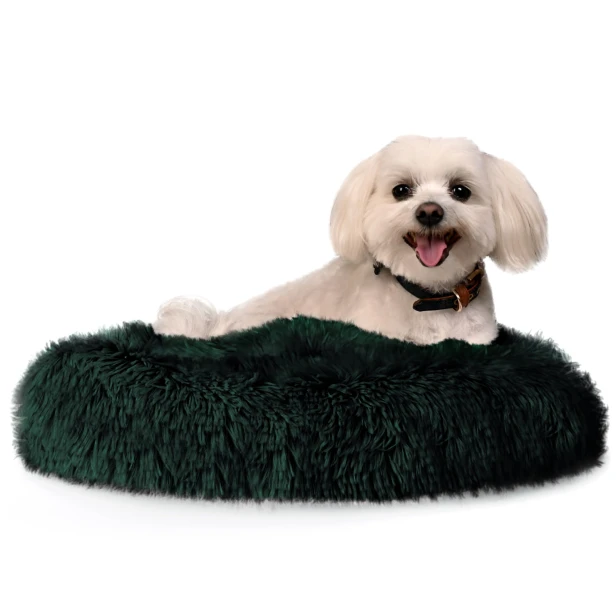 288c7d7649bf0ebc95be2804c17b3ff9