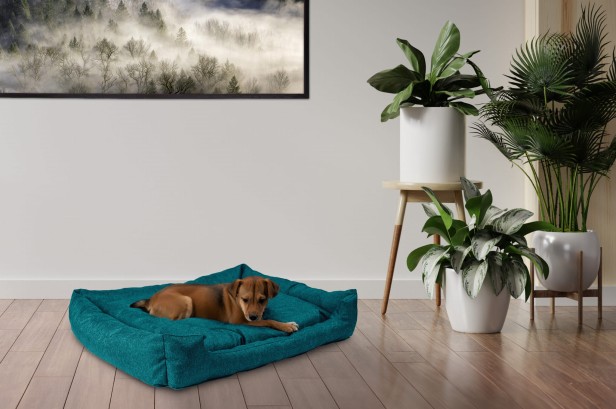 be0d364cb7ece54b7ef50c82b7903f90