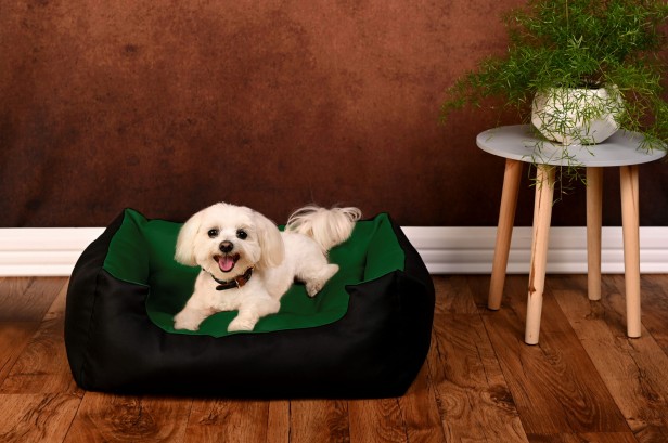 3c563de08521c2c216cc9951e245451e