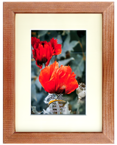 dba8670f2f838e2f79149183290c3b90