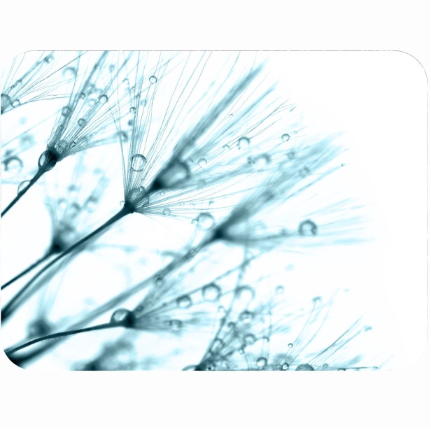 225bf50c4653c7043871dab25e09ef22