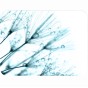 225bf50c4653c7043871dab25e09ef22